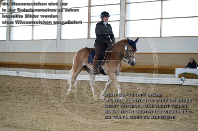 a_K3F01686.JPG
